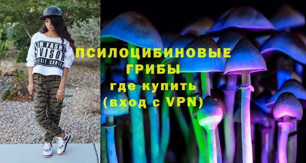 хмурый Алзамай