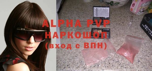 хмурый Алзамай