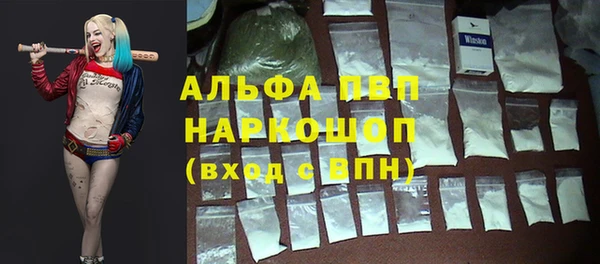сатива Пересвет