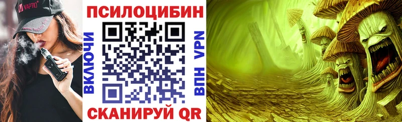 купить наркотик  Курчатов  Псилоцибиновые грибы Cubensis 