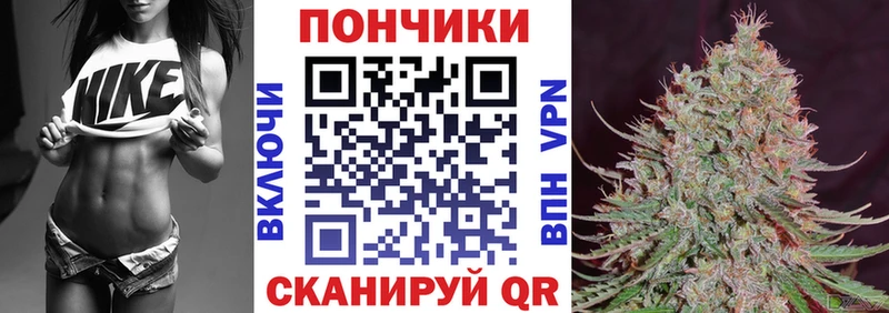 Конопля план  мега tor  Курчатов 